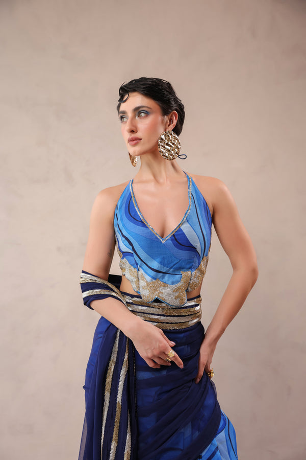 The Hollywood saree with celebrity backless blouse