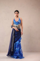 The Hollywood saree with celebrity backless blouse
