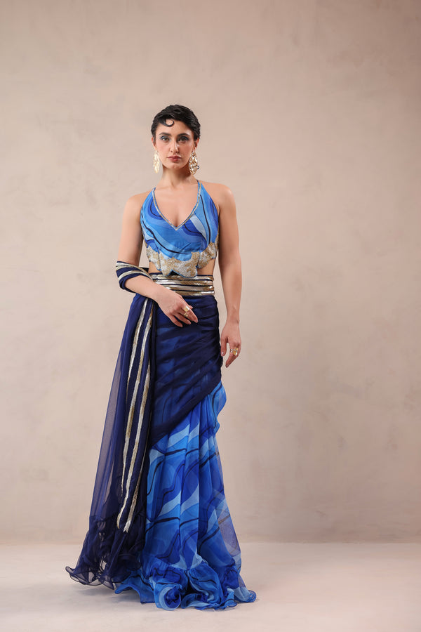 The Hollywood saree with celebrity backless blouse