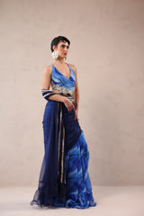 The Hollywood saree with celebrity backless blouse