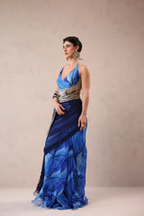 The Hollywood saree with celebrity backless blouse
