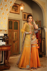 Dilruba bageecha kurta with volume sharara and dupatta