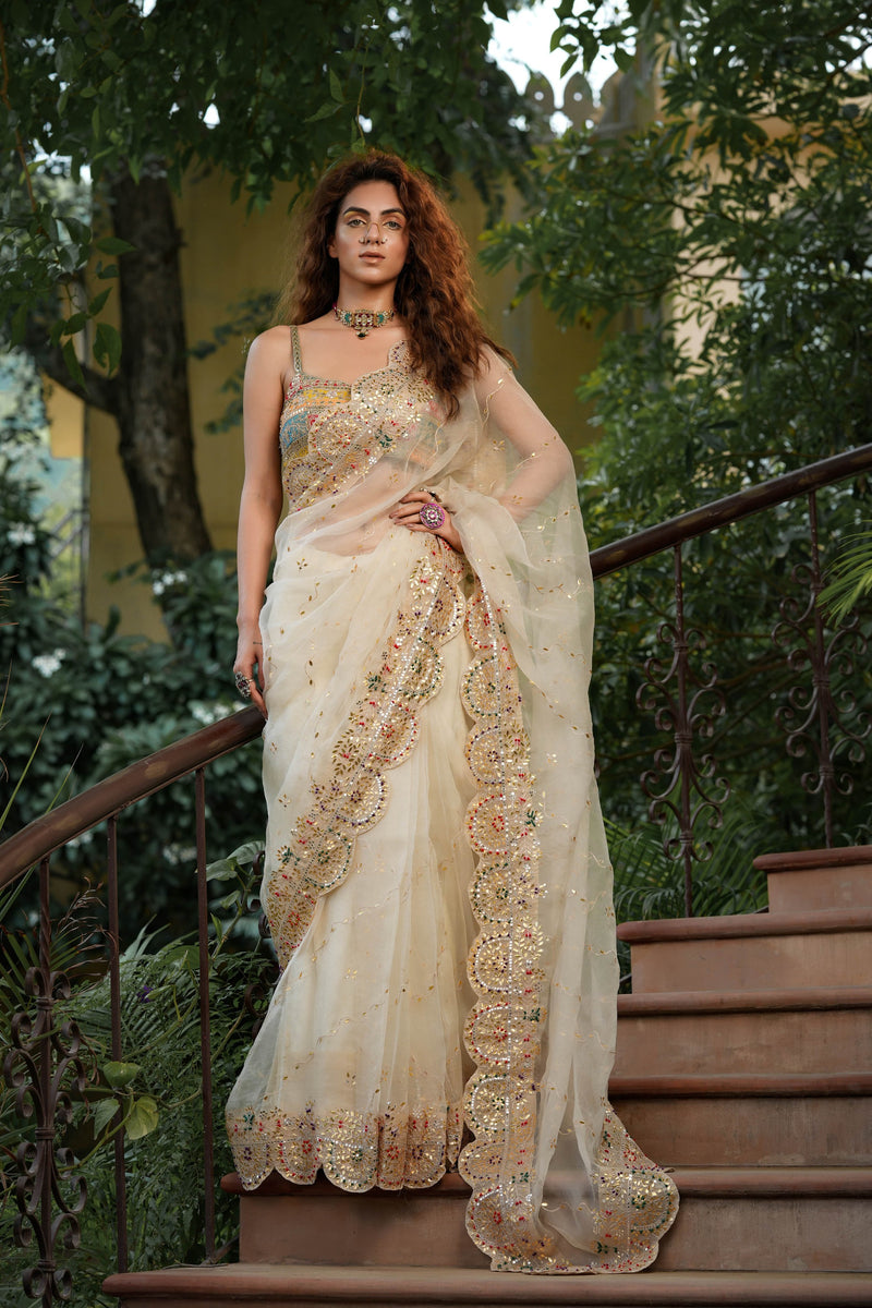 Bageecha shwet aur rangeen saree